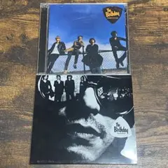 The Birthday Night〜、TEARDROP、VISION プロモ盤 The Birthday Night〜、TEARDROP、VISION プロモ盤 - メルカリ