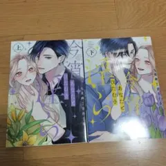 今宵あなたとひたむき淫ら上・下巻　２冊セット