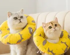 猫 ペット用 小型犬 去勢手術 　　2枚