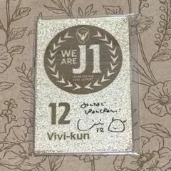 Vファーレン長崎 ヴィヴィくん シークレット メタルカード