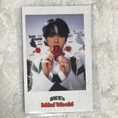 Straykids リノ 2023 シーグリ mini world 特典 ポラ