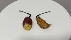 Item thumbnail for item cbb04a9b-6669-4898-a36c-ecfc72a68963