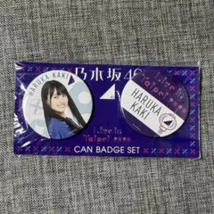 Item thumbnail for item 24cfb3ec-045b-4222-a3d3-1f599f6d8e35