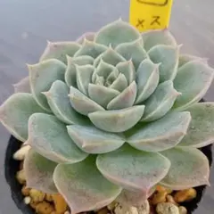 ひろみん様 リクエスト 3点 まとめ商品