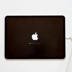 ipad 11世代 本体