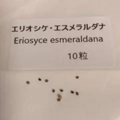 2026年最新】エリオシケの人気アイテム - メルカリ