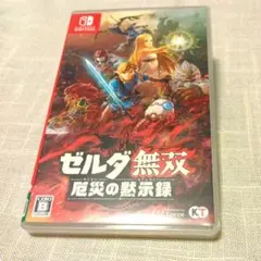 ゼルダ無双 厄災の黙示録