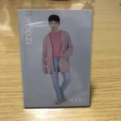 SEVENTEEN HARU ウジ トレカ