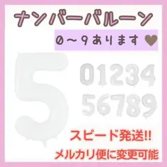 Item thumbnail for item deb0307b-628d-4f5e-a4d6-630ff396f2a7