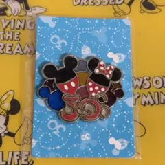 非売品 東京ディズニーリゾート ランヤードアクセサリー