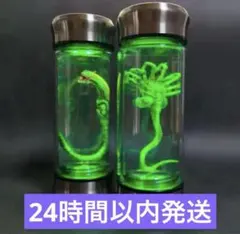 フェイスハガー