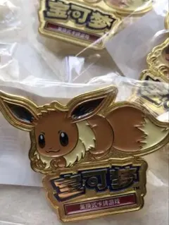 ポケパーク イーブイ ピンバッジ - メルカリ