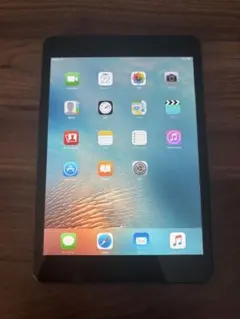 【送料無料】Apple iPad mini初代スペースグレー