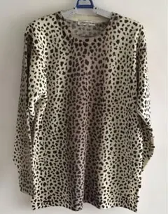 Item thumbnail for item 1e31f049-5562-4421-9beb-85ac64304534