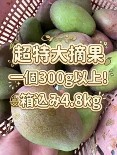 宮古島産 超特大摘果マンゴー9.8kg - メルカリ