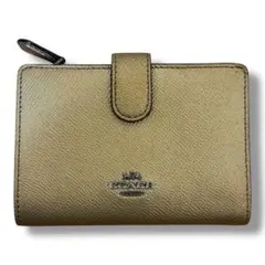 Item thumbnail for item d1ecacb6-e2dd-42b8-a1ba-a361f33eeca9