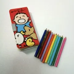 みんなのたあ坊 筆箱 ミニ 色鉛筆 ペンケース レトロ サンリオ 中古