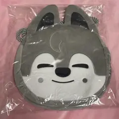 straykids skzoo バンチャン ウルフチャン サイン入り 缶バッジ - メルカリ