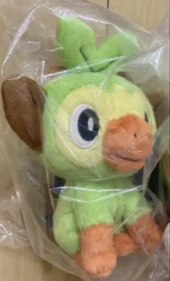さんご様