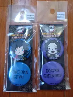 鬼滅の刃 缶バッジセット 冨岡義勇 胡蝶しのぶ