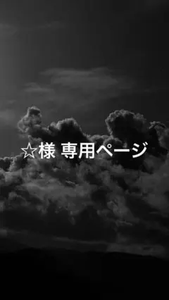 ☆様 専用ページ