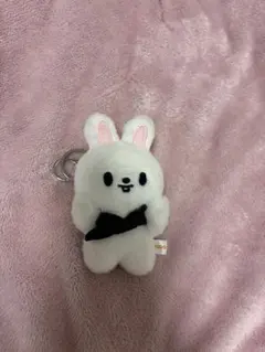 スキズ リノ リービット マグネット 10cm