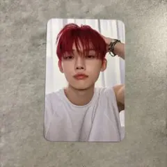 txt sanctuary dear my muse 中華 ヨンジュン トレカ