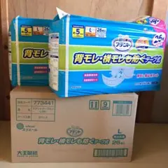 Item thumbnail for item 93cc64bf-b316-48a9-95fe-729768dc974e