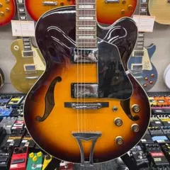 Ibanez FRH10n ガットギター ホロウボディ - メルカリ