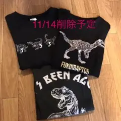 恐竜柄Tシャツ　3枚セット　130㎝