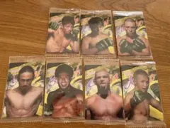 RIZIN ウエハース　トレーディングカード 7枚セット