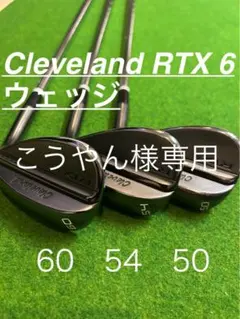 こうやん様専用