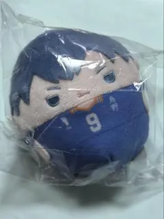 ハイキュー！！　くじメイト　ぬいくじ　D 影山飛雄