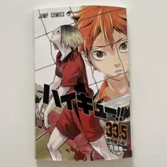 ハイキュー 33.5 音駒番外編