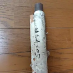 Item thumbnail for item 8b29d450-0010-4a5d-a1eb-c78b7a70c58f