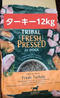 Item thumbnail for item 04eae078-16fb-4f62-9d0e-ee5c68670bde