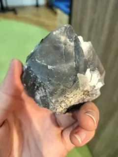 2026年最新】ブルーザギマウンテンの人気アイテム - メルカリ