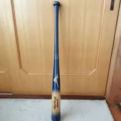 Victory Stage トレーニング用バット