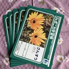 さんすうノート　6マス　ジャポニカ学習帳　5冊セット　新品未使用　現状渡しのサムネイル