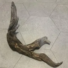 Item thumbnail for item 54a7eccc-0353-4437-b2fd-785cff6c4790