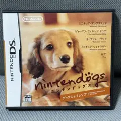 ニンテンドックス