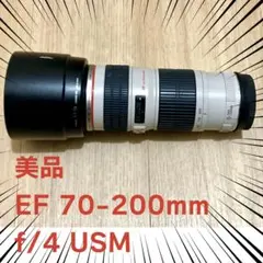 2025年最新】canon ウルトラソニックの人気アイテム - メルカリ