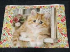 riri様 リクエスト 4点 まとめ商品