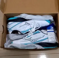 MIZUNO ミズノ テニスシューズ カーペットコート用 23.5cm