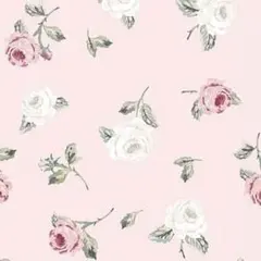 【ぐぅ様専用】ムルーア ストライプ ハイウエスト ストリング パンツ