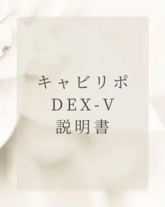 キャビリポ DEX-V 説明書