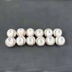 Item thumbnail for item 8ee2b352-a105-4cdd-a9dc-9afb6d6a9b37