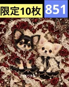 限定10枚！　犬 レアパネル生地　無くなり次第終了です