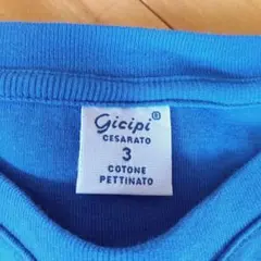 Item thumbnail for item 50738db4-a836-4dc7-bea4-525019f2ad58