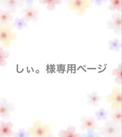 【しぃ。様】専用オーダーページ